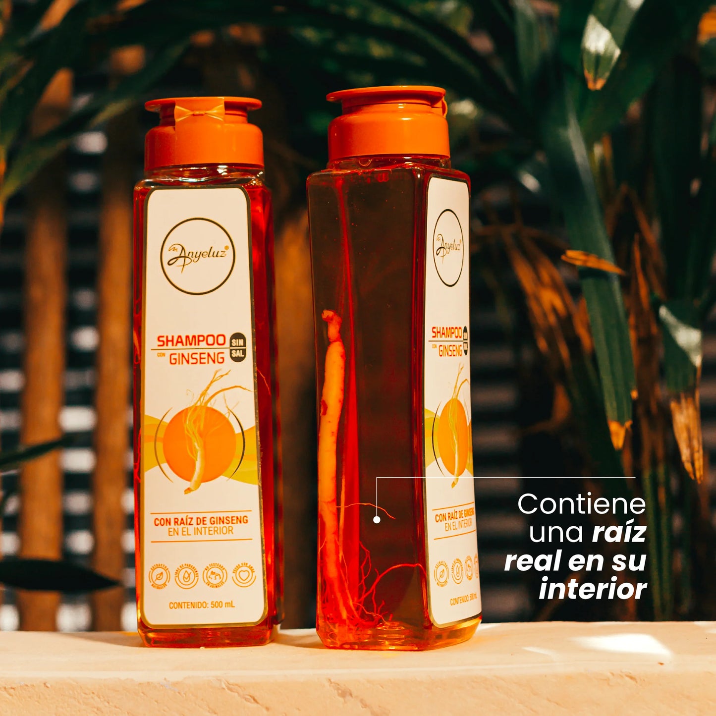 Shampoo Ginseng Anyeluz