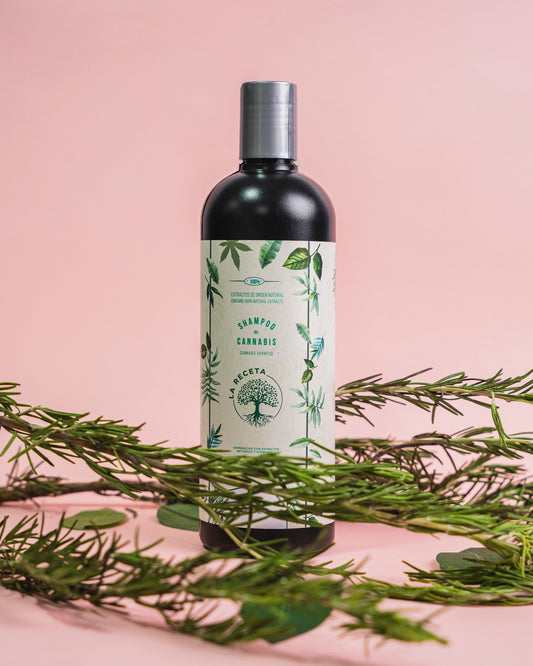 Shampoo de Argan Cabellos Secos La Receta