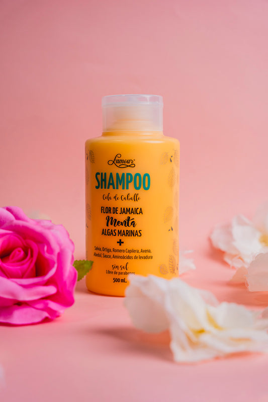 Shampoo cola de caballo Lamour - Cabello graso y con caspa